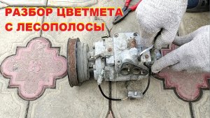 Разбор на медь, латунь, алюминий находок с лесополосы. Разбор компрессора кондиционера DENSO.