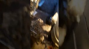 Мітки ГРМ на опель астра г x17dtl (1.7TD)