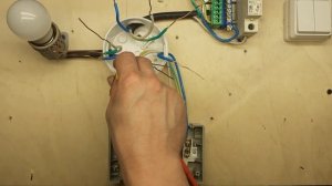 Подключение розетки и выключателя в одном блоке