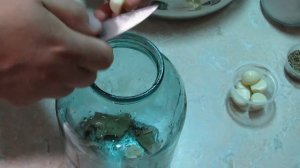 МАРИНОВАННЫЙ ПОРТУЛАК Вкусный СОРНЯК Отличная закуска #закуска #простойрецепт #портулак #маринад