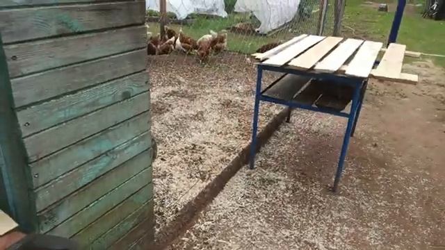 Забор в огород ч. 2 смотреть онлайн