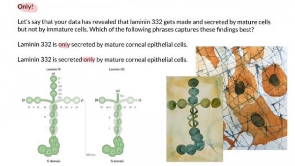 Logical question for MS and PhD entry exam