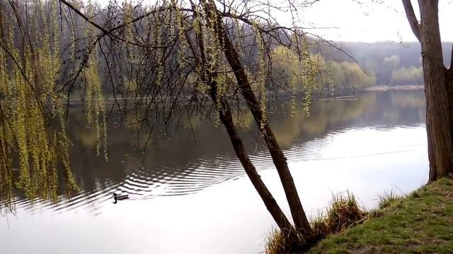 Поздравляю с праздником Благовещения. Тренер Юлианна Краева смотреть онлайн