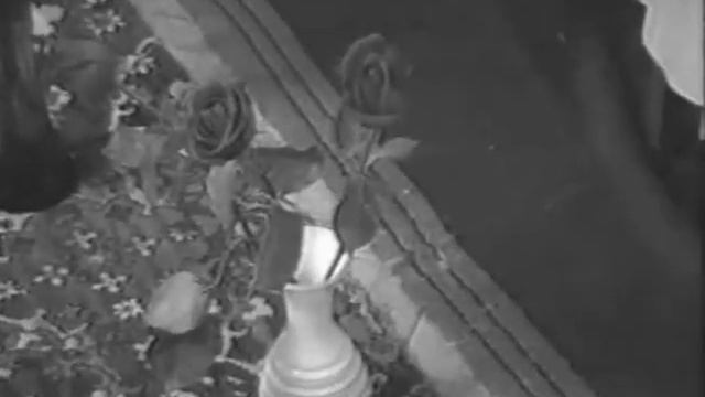 Снежная сказка: часть 1