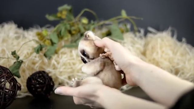 Lemur Lori смотреть онлайн