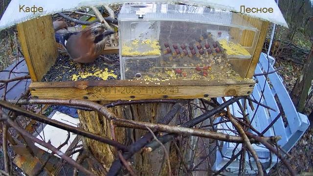 Кафе "Лесное" смотреть онлайн