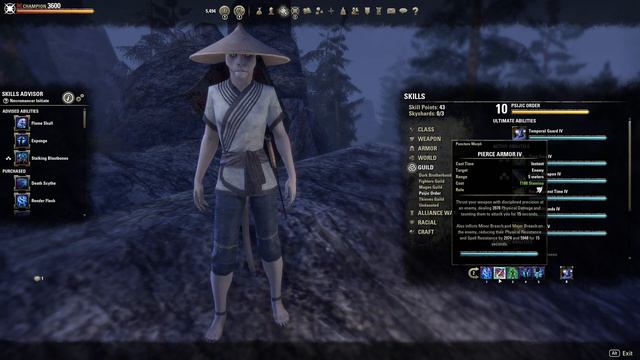 BROKEN Stamina Necromancer Build!! - ESO - Scribes of Fate смотреть онлайн