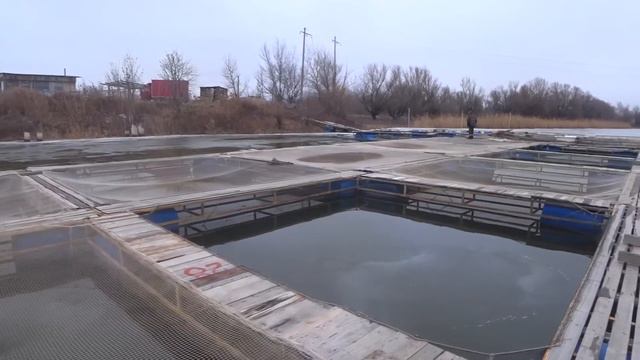 РЫБАЛКА НА ОСЕТРОВОЙ ФЕРМЕ - Лёд тает - ЖДЁМ ОТКРЫТУЮ ВОДУ смотреть онлайн