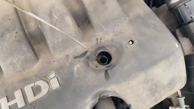 Разборка Peugeot - 306, 2.0 HDI (VIN: VF37ERHYF33184031) Y904TGO смотреть онлайн