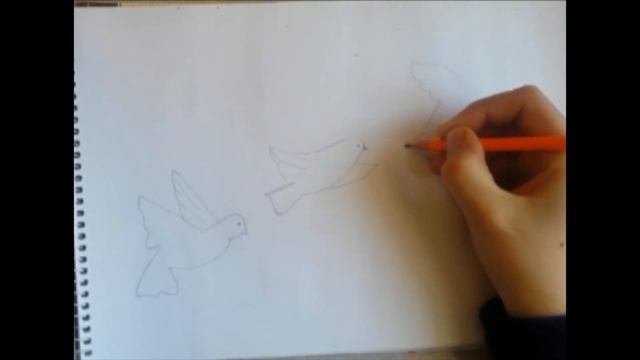 как нарисовать голуби смотреть онлайн