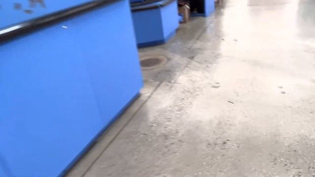 Playdays Collectibles Taco Tuesday morning Hotwheels hunting at Walmart. 2.21.23 смотреть онлайн