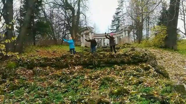 Лунные девицы ? ? смотреть онлайн