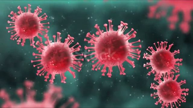 अगर nonreactive है hiv. Hbsag, hcv तो ज़रूर कराये elisa टेस्ट смотреть онлайн