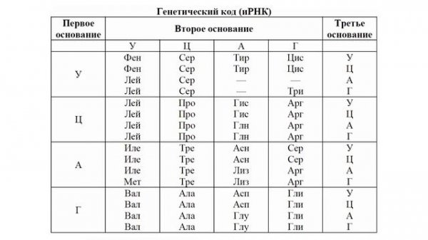 Генетический код | Свойства генетического кода | Таблица генетического кода