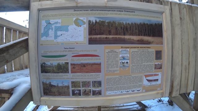 Зимняя покатушка. Экотропа «Оленье озеро». смотреть онлайн