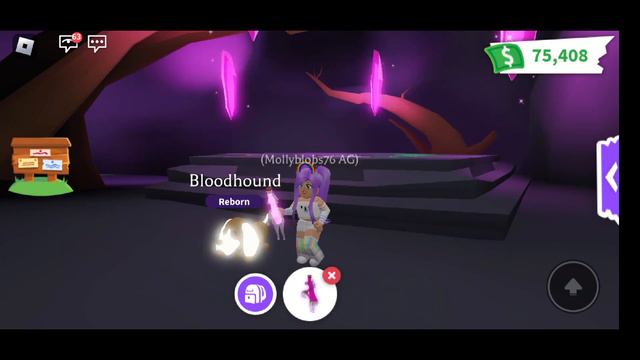 Neon Bloodhound @PlayAdoptMe смотреть онлайн