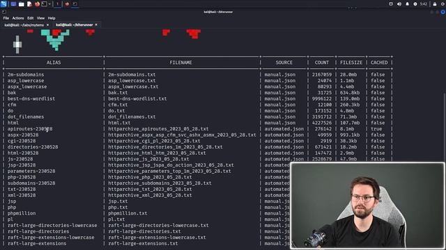 Next Level API Hacking with Kiterunner смотреть онлайн