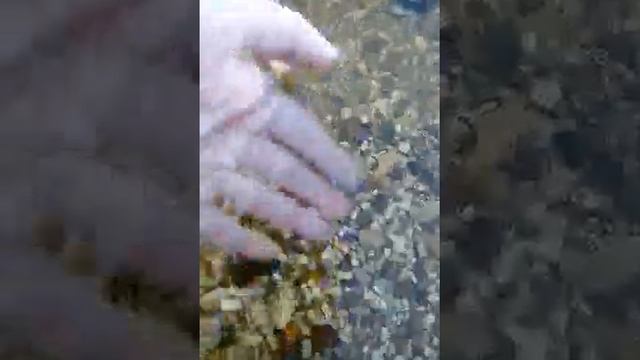Самая Чистая Вода в Волге смотреть онлайн