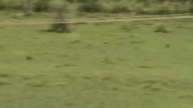 sony dcr sx 44 video test смотреть онлайн