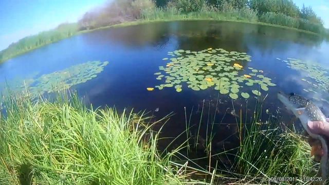 Щука. Павлодар Набережное 5.1 смотреть онлайн