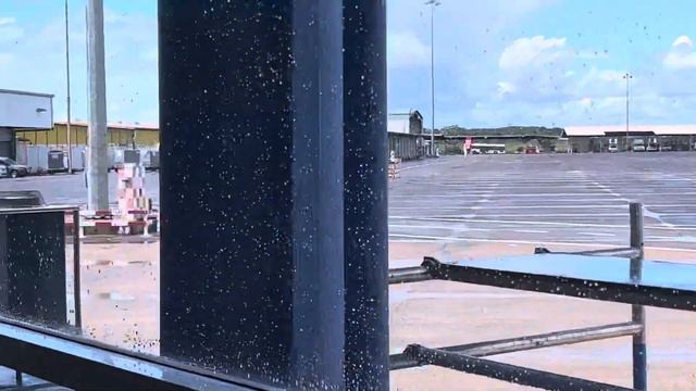 Arrived in Surinam | Johan Adolf Pengel | KLM 777-300 | KL713 From Amsterdam | RoopramAviation смотреть онлайн