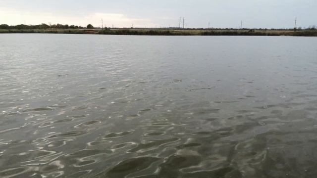 Рыбалка не реке Средний Егорлык. ?.29.08.2022.г.???? смотреть онлайн