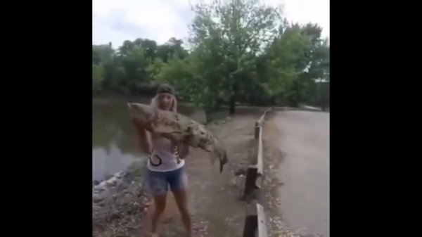 Рыбалка нарезка