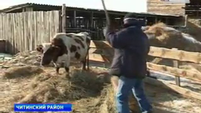 уроки и гранты смотреть онлайн