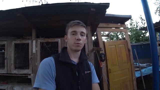 Смесовые/чистопородные их масса. Корм райграс смотреть онлайн