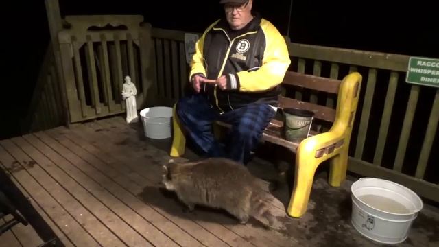 Buddy, Woody Scooter, Bandit, Sammy and more friends. смотреть онлайн