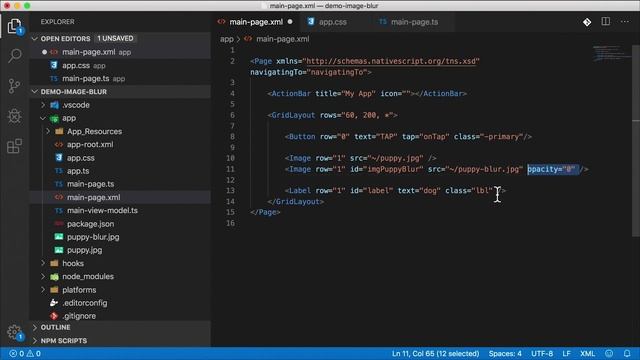 Animated Image Blur in NativeScript | Tutorial смотреть онлайн