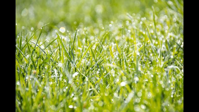 2 видео эх раньше был жидомассон смотреть онлайн