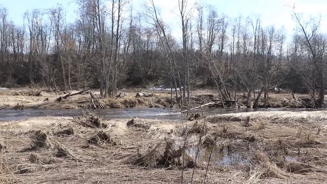 Очень соскучились по деревенской жизни. Открываем огородный сезон. смотреть онлайн