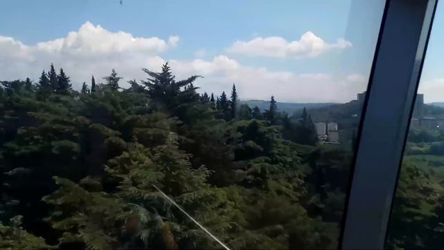 Загадки Сочинского дендрария! 330 км от Гостагаевской и Анапы смотреть онлайн
