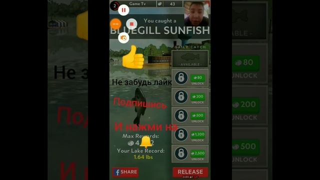 Обзор игры Rapala Fishing смотреть онлайн
