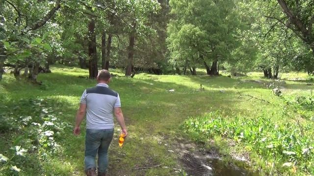 Поездка выходного дня. смотреть онлайн