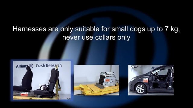 Crash tests: how to keep your dog safe in a car смотреть онлайн