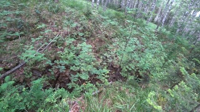 Алтай. Мульчихинский рудник, продолжение.. Гора разрезана пополам смотреть онлайн