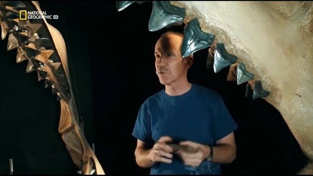 Мегалодон самая большая акула.Интересное видео 100% смотреть онлайн