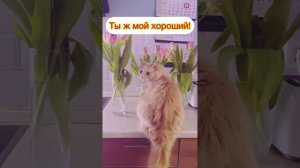 А вы получили цветы на 8 марта ?