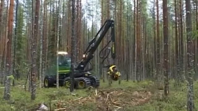 Республика сохранит «Кареллеспром»? смотреть онлайн