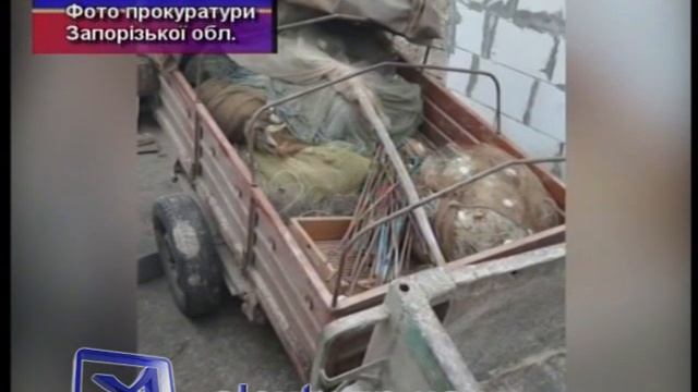 Рыбная схема смотреть онлайн