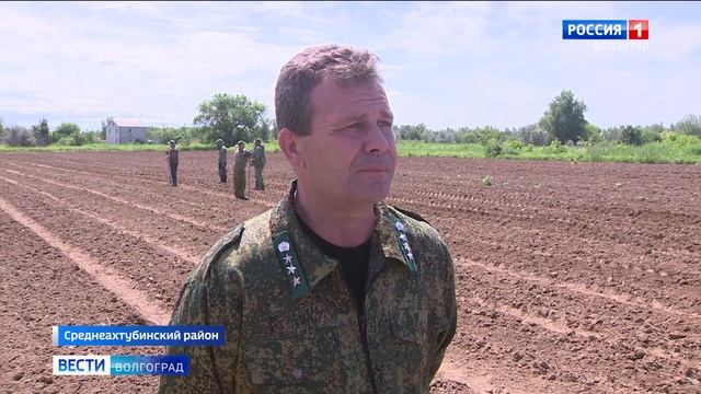 В Среднеахтубинском районе вырастят 50 тысяч саженцев дуба