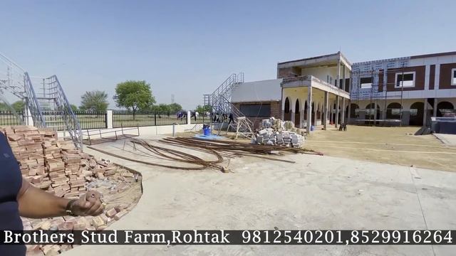 Haryana ~ Marwari Horse Stud Farm ? हरियाणा का सबसे बड्डा फार्म हाउस ???? देख कर आप wow बोलोगे смотреть онлайн