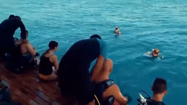 Дайвинг в подводном музее Сиде | Tunar Travel смотреть онлайн