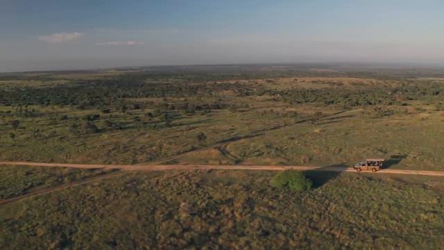 4K African Wildlife: Amazing Wildlife Of Hwange National Park, Zimbabwe - Beautiful Relaxing Music