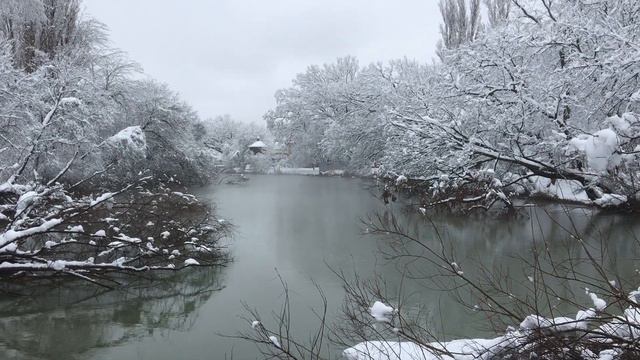 Краснодар. Зима на Солнечном острове. смотреть онлайн