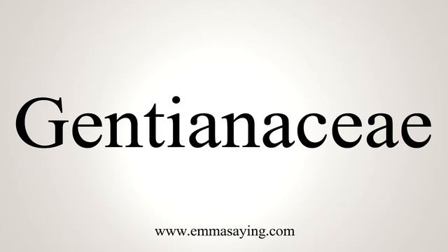 How To Say Gentianaceae смотреть онлайн