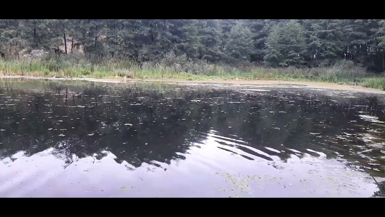 В поисках щуки. Пришла пора поговорить.