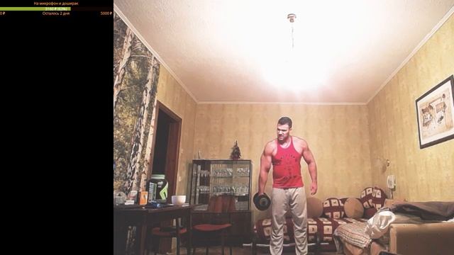 Тренировка рук и плечей дома смотреть онлайн